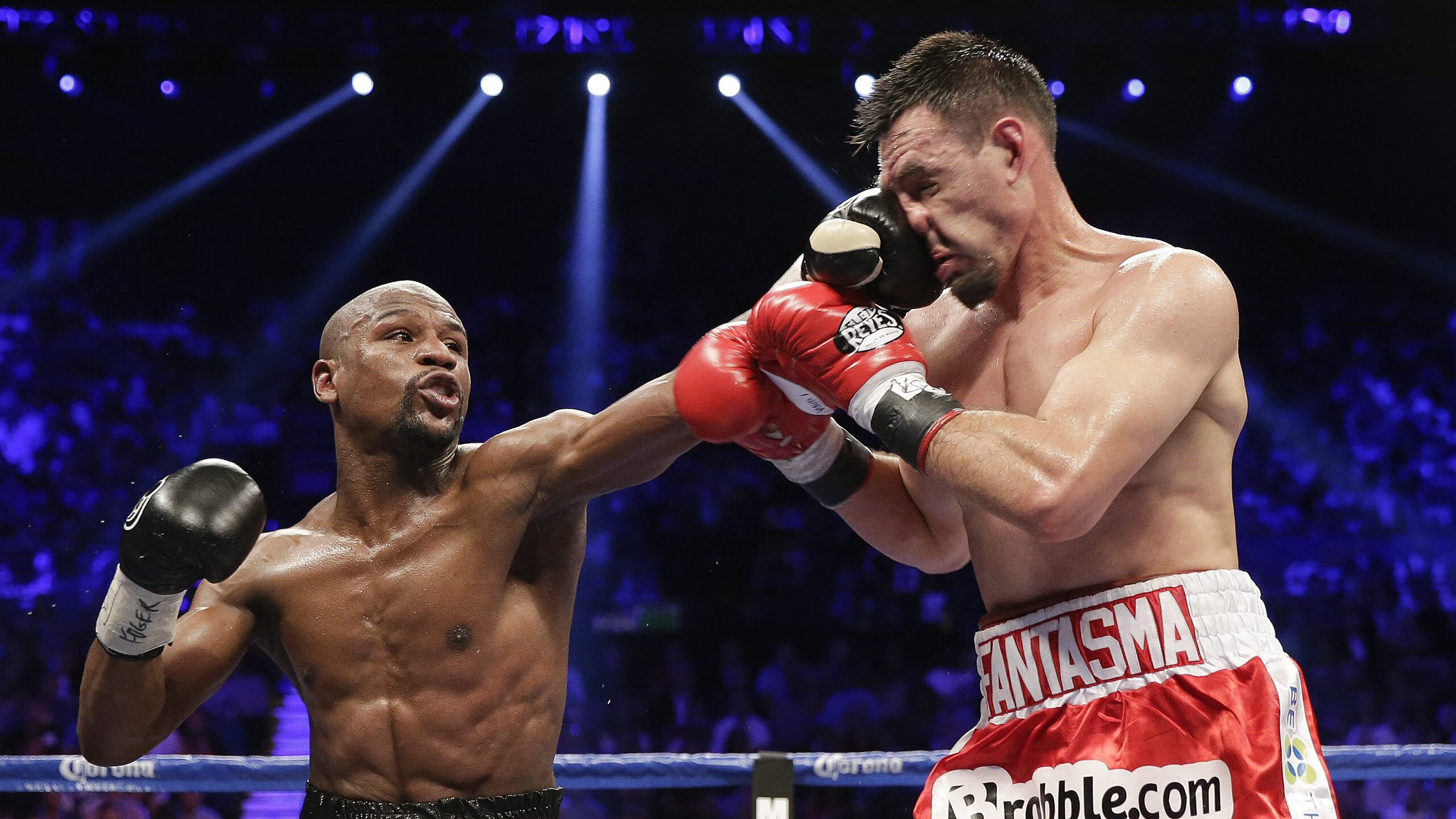 2026世界杯赛场设计融合未来科技元素，成亮点，2026年世界杯48支球队