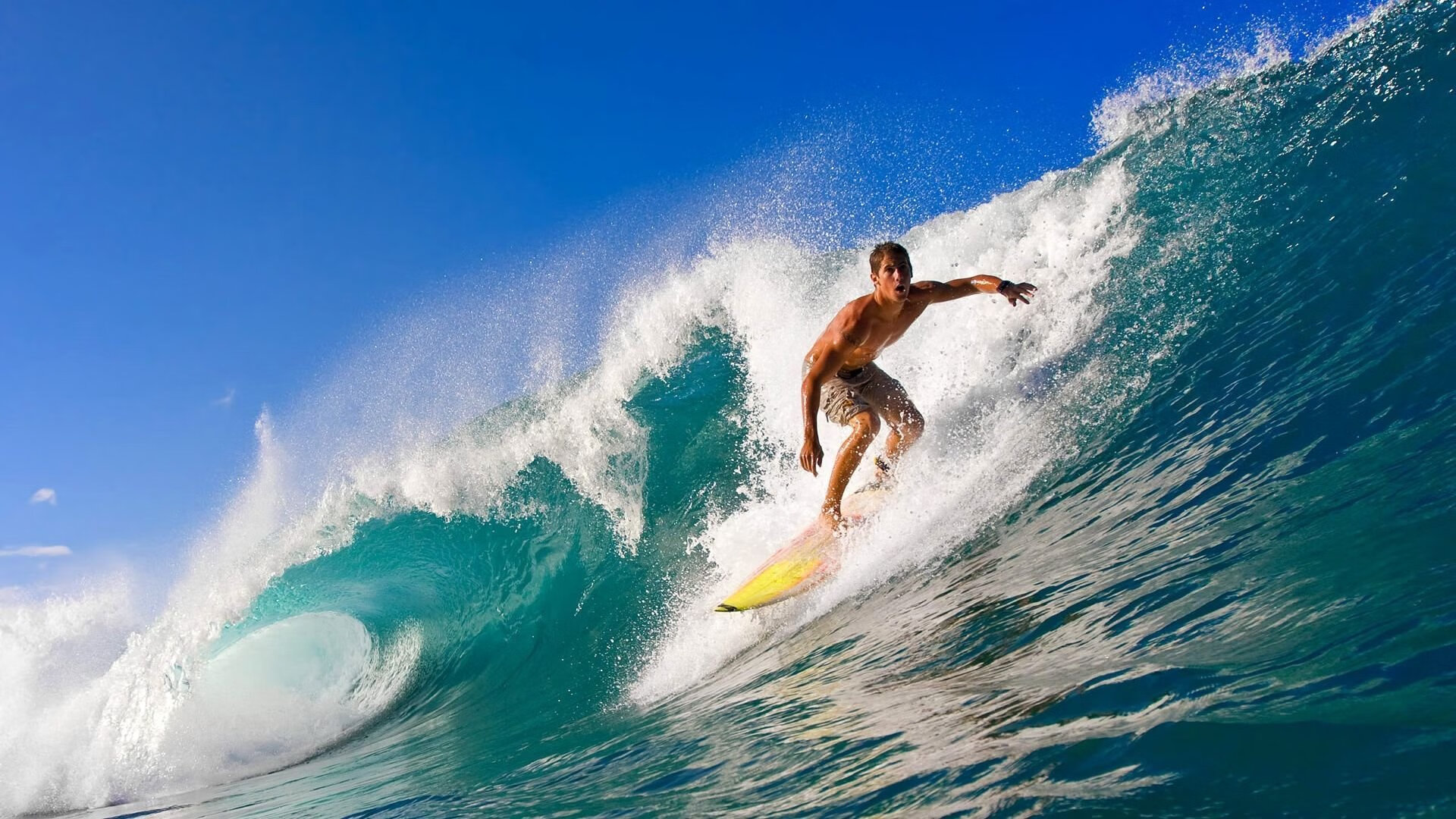 体育品牌合作论坛探讨跨界整合发展趋势，体育品牌国际化