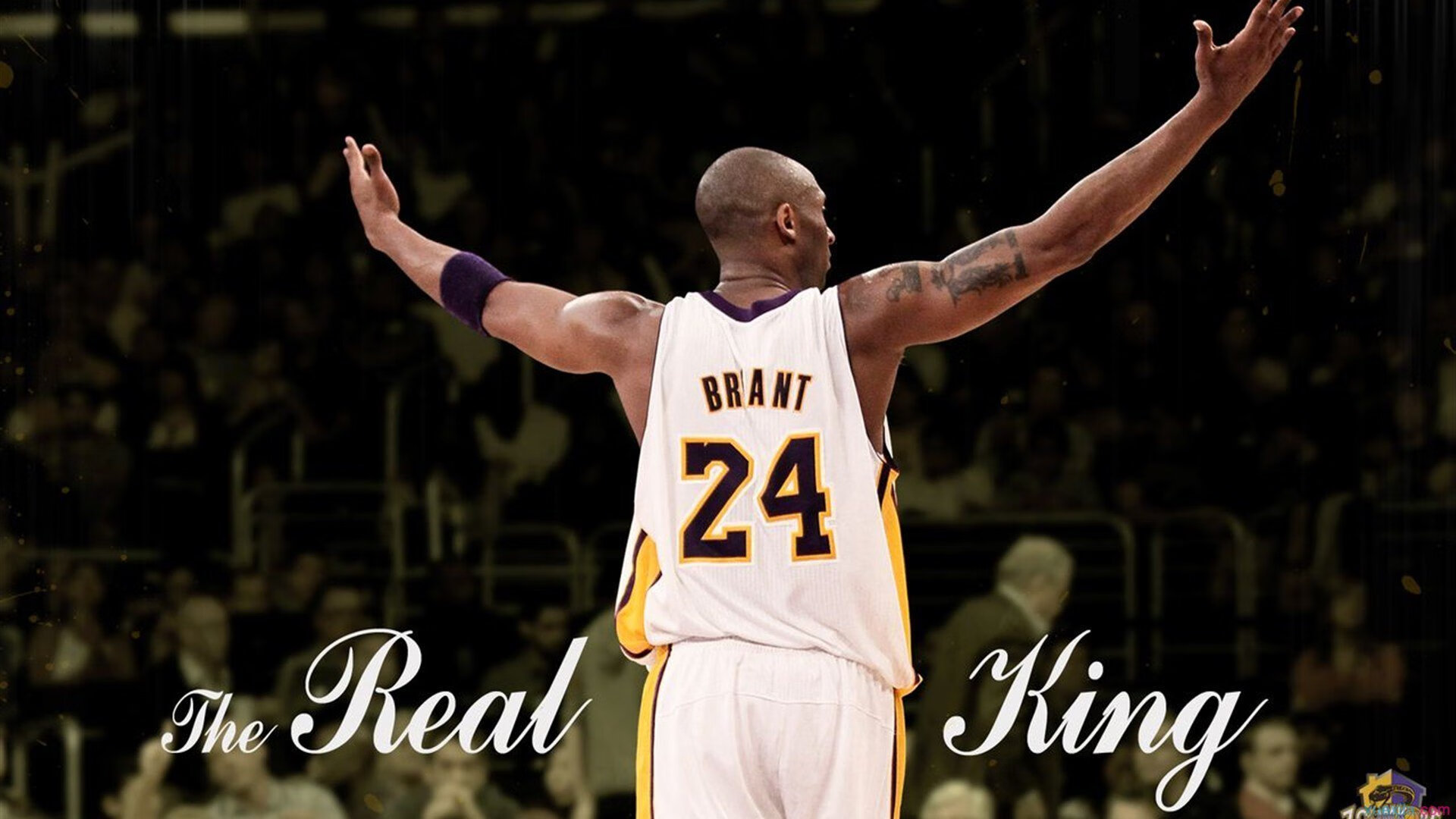 篮球专项技能训练规范体系构建与实施，篮球专项技能展示